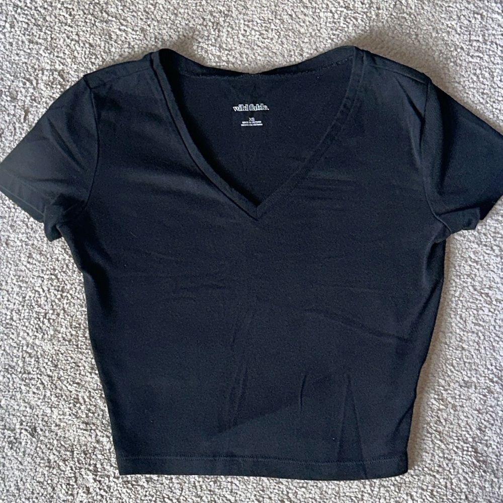 Wild Fable Cropped Tee Shirt!